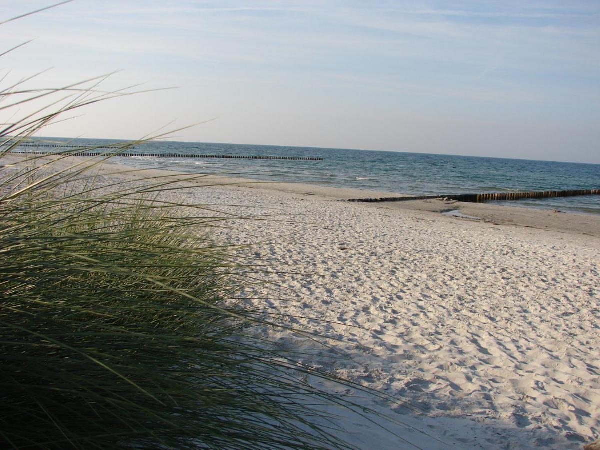 Hausnora - Apartment Ostseeheilbad Zingst